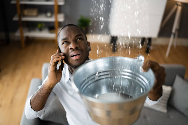 Best Carpet water damage restoration  in Salisbury, MD