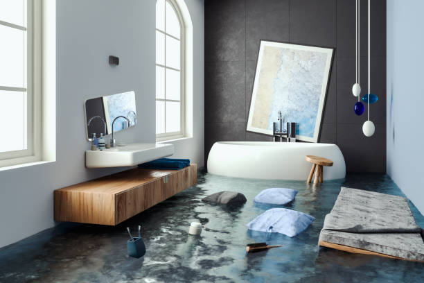 Carpet water damage restoration in Salisbury, MD