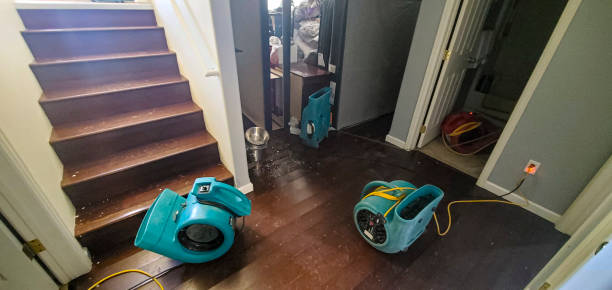 Best Water damage cleanup near me  in Salisbury, MD