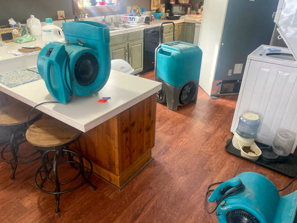 Professional Water damage restoration in Salisbury, MD