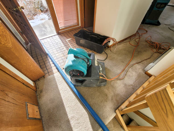 Best Local water damage restoration  in Salisbury, MD