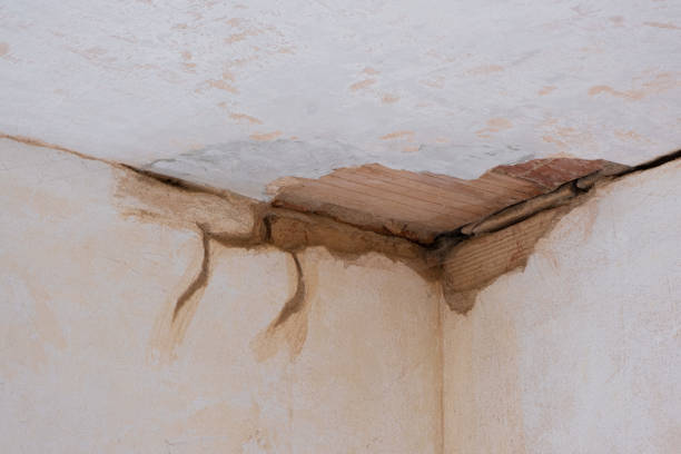 Best Ceiling water damage repair  in Salisbury, MD