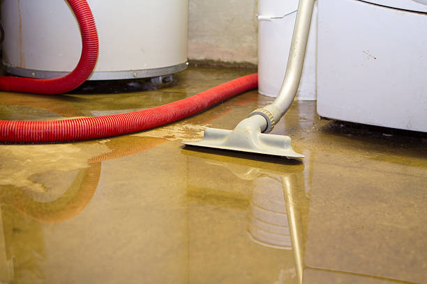 Sewage cleanup and water damage restoration in Salisbury, MD
