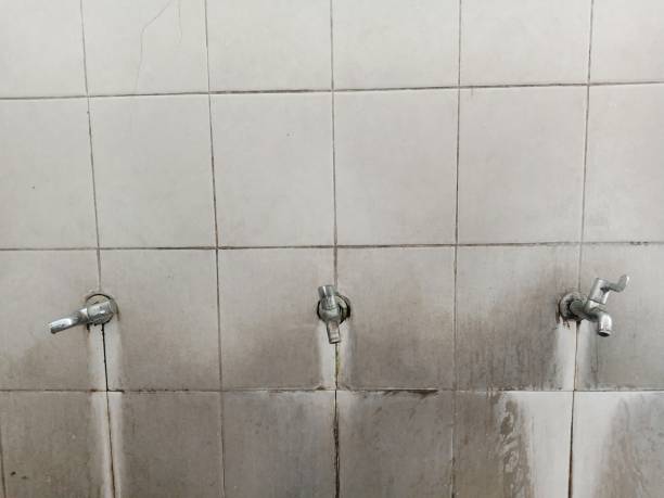 Water damage restoration mold remediation in Salisbury, MD