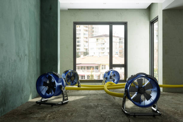 Best Water damage restoration mold remediation  in Salisbury, MD